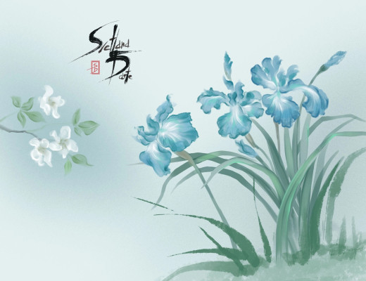 1616923 (a): :2010x1545
